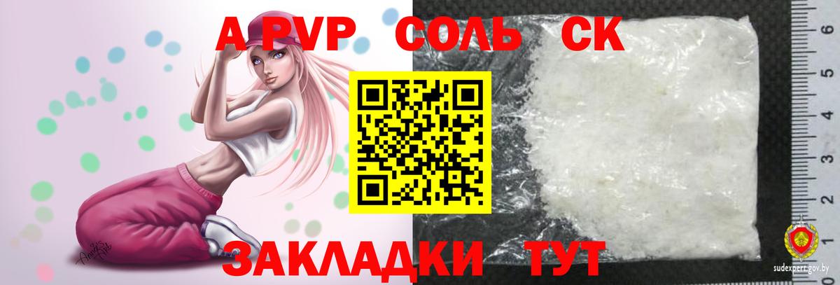 A-PVP СК КРИС Лесосибирск