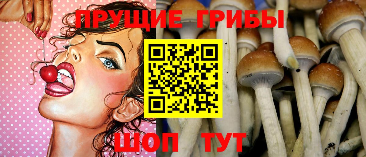 Галлюциногенные грибы MAGIC MUSHROOMS Лесосибирск