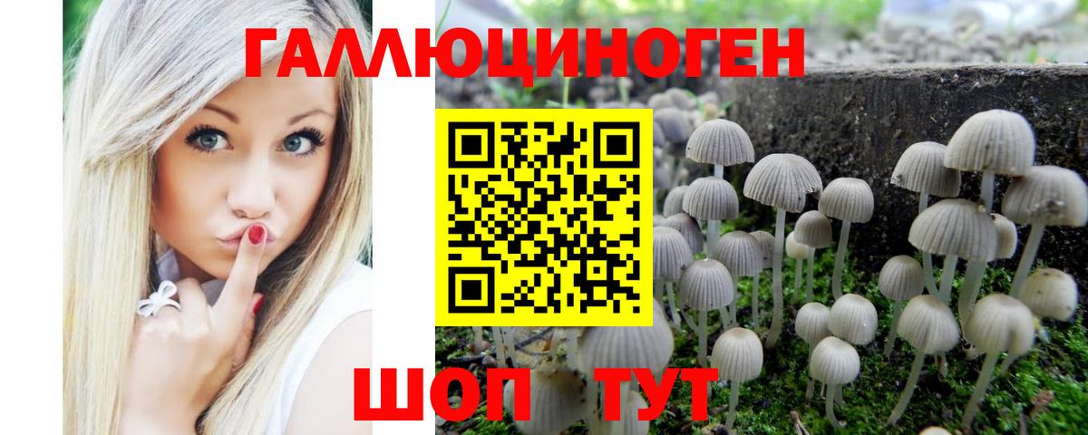 Галлюциногенные грибы мицелий  Псилоцибиновые грибы мицелий  Вход с VPN  Лесосибирск 